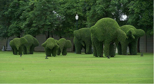 the-elephant-is-not-in-the-room-london-garden-maintenance.gif