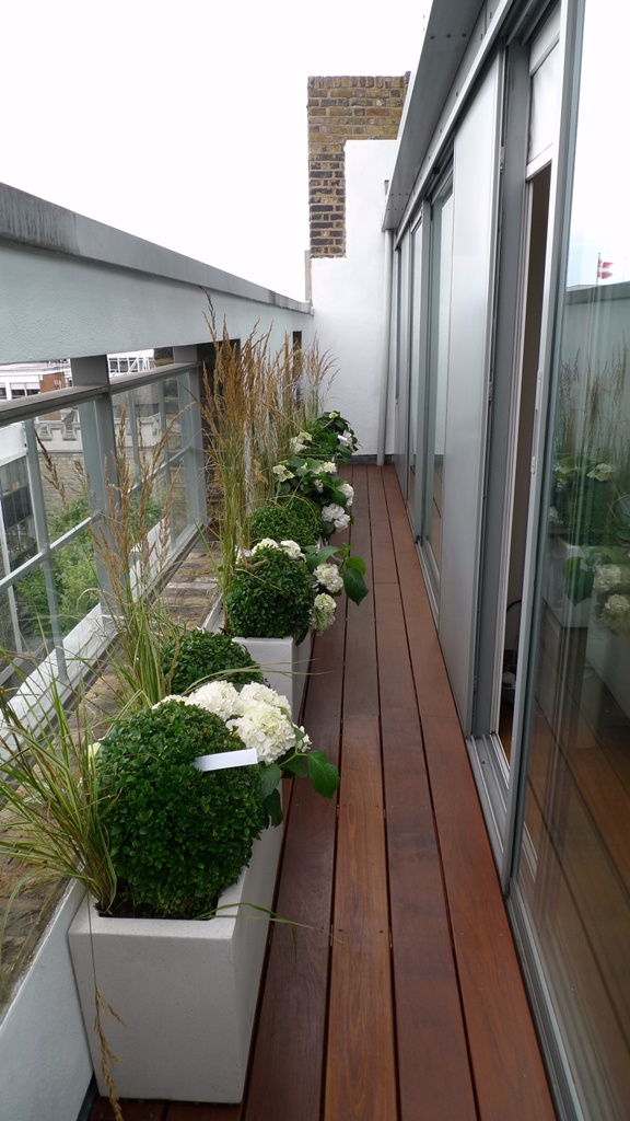 balcony-resin-stone-planters-buxus-grasses-london.JPG