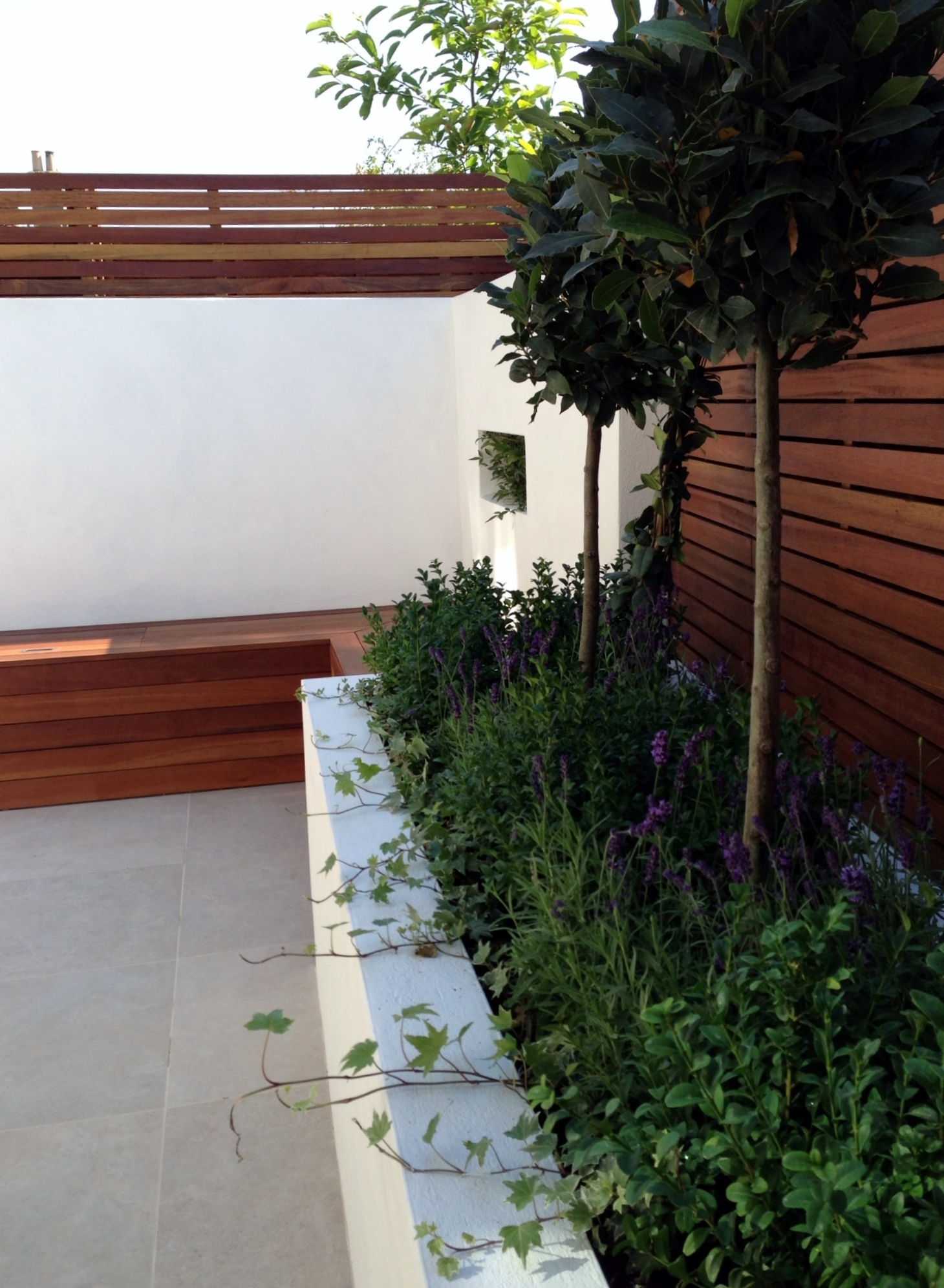 small modern minimalist low maintenance garden dulwich london block wall bench hardwood screen trellis privacy screen architectural planting (11)