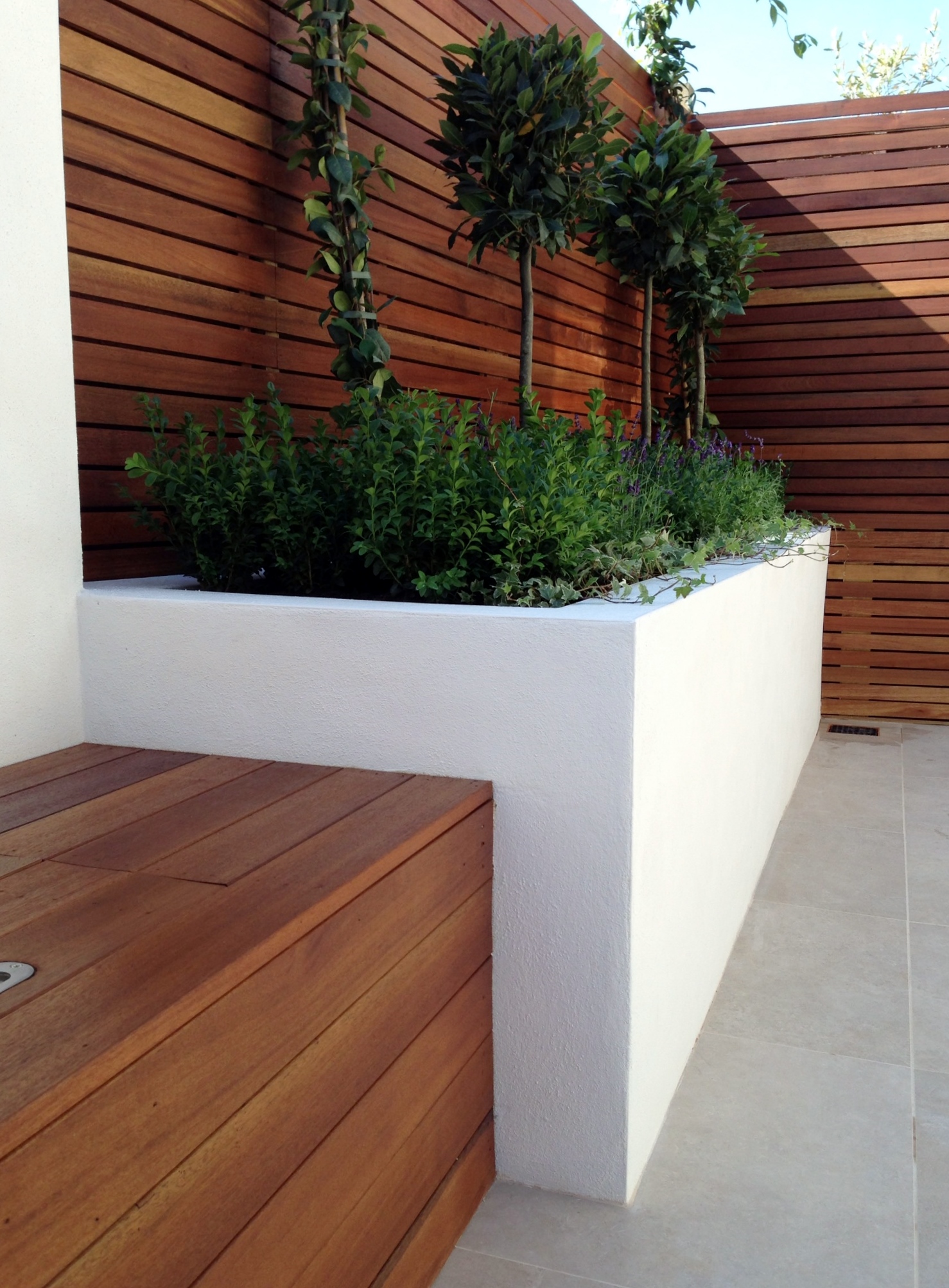 small modern minimalist low maintenance garden dulwich london block wall bench hardwood screen trellis privacy screen architectural planting (19)