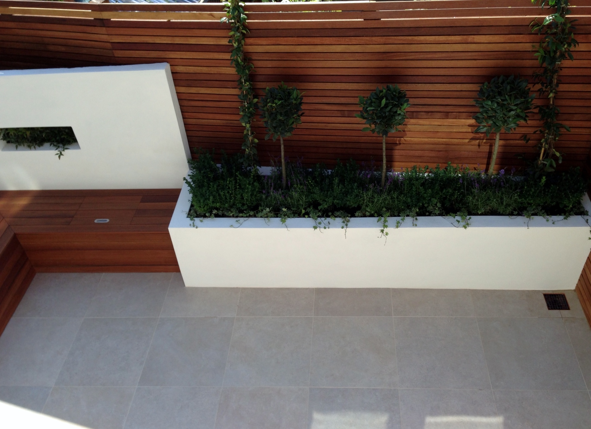 small modern minimalist low maintenance garden dulwich london block wall bench hardwood screen trellis privacy screen architectural planting (3)