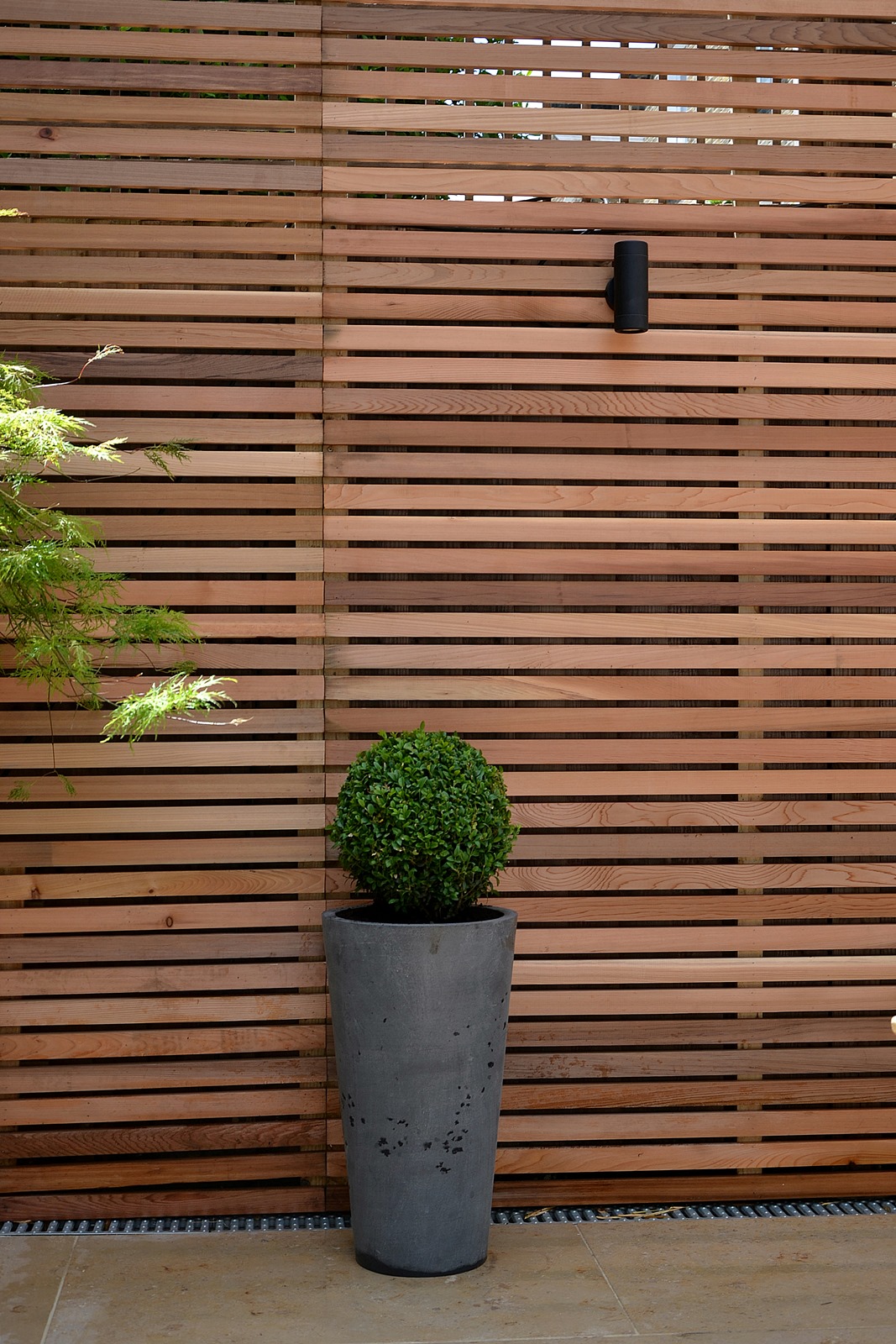 cedar screen raised planter bed limestone paving hardwood bench clapham london (3)