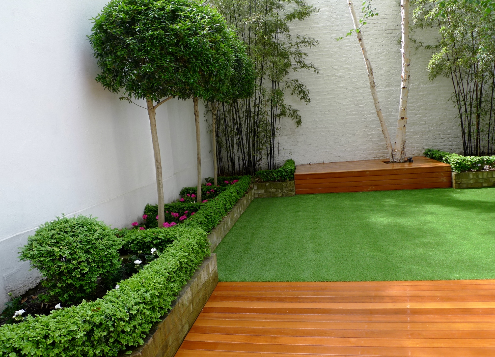 buxus topiary full standard trees mature bamboo fake artificial grass fulham chelsea battersea london