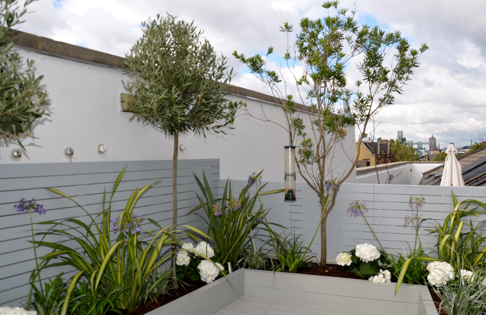 roof terrace garden design central london and docklands