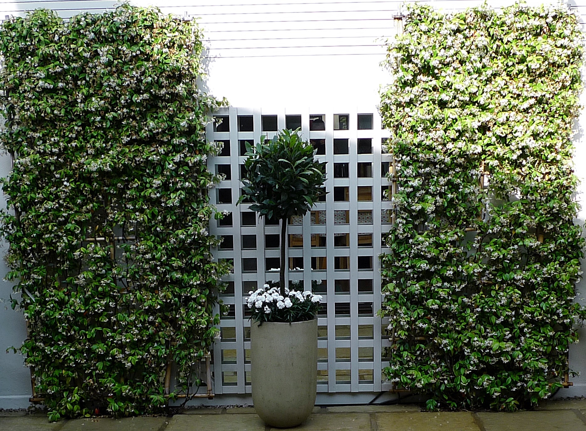 Brick garden wall Balham Clapham  Wandsworth planting topiary formal London