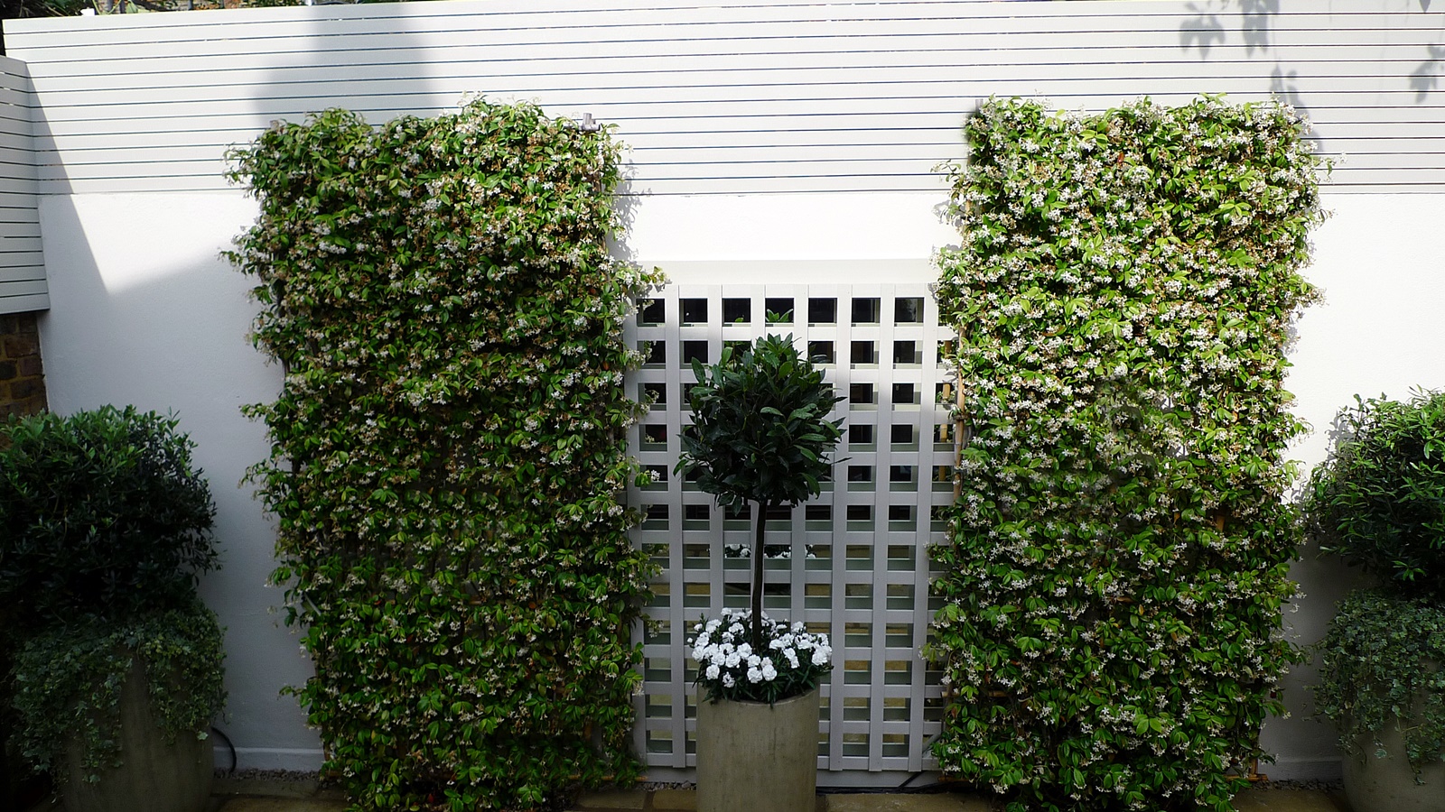 Courtyard minimalist contemporary garden design and designer chelsea fulham london